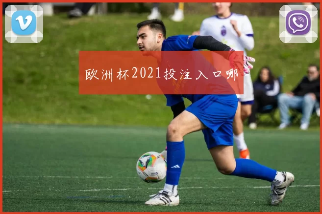 欧洲杯2021投注入口哪