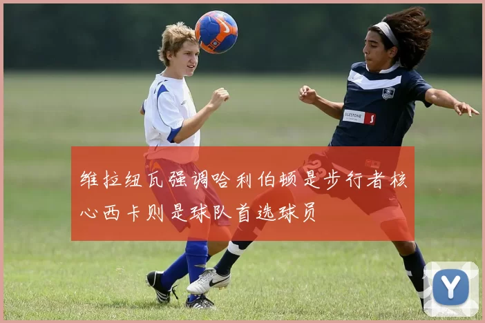 维拉纽瓦强调哈利伯顿是步行者核心西卡则是球队首选球员