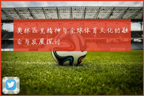 奥林匹克精神与全球体育文化的融合与发展探讨