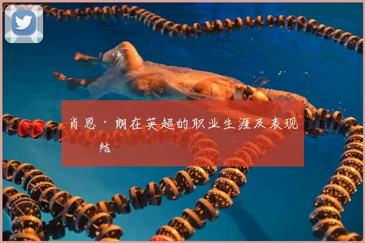 肖恩·朗在英超的职业生涯及表现总结