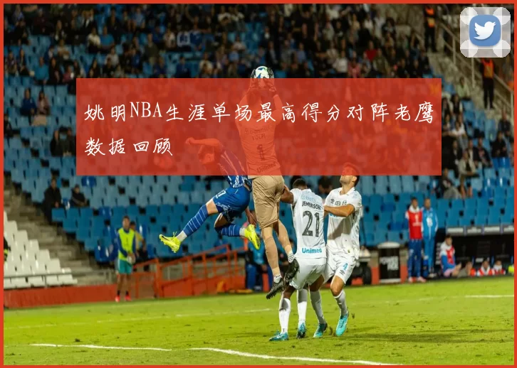 姚明NBA生涯单场最高得分对阵老鹰数据回顾