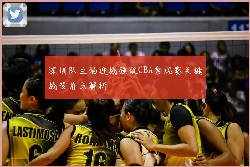 深圳队主场迎战强敌CBA常规赛关键战役看点解析