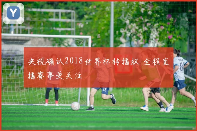 央视确认2018世界杯转播权 全程直播赛事受关注
