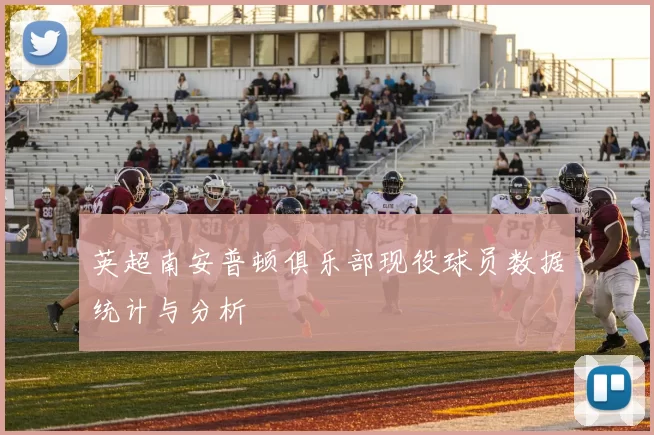 英超南安普顿俱乐部现役球员数据统计与分析