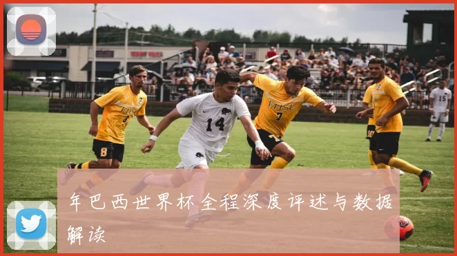 年巴西世界杯全程深度评述与数据解读