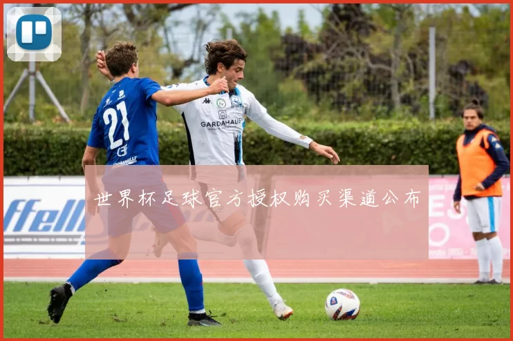 世界杯足球官方授权购买渠道公布