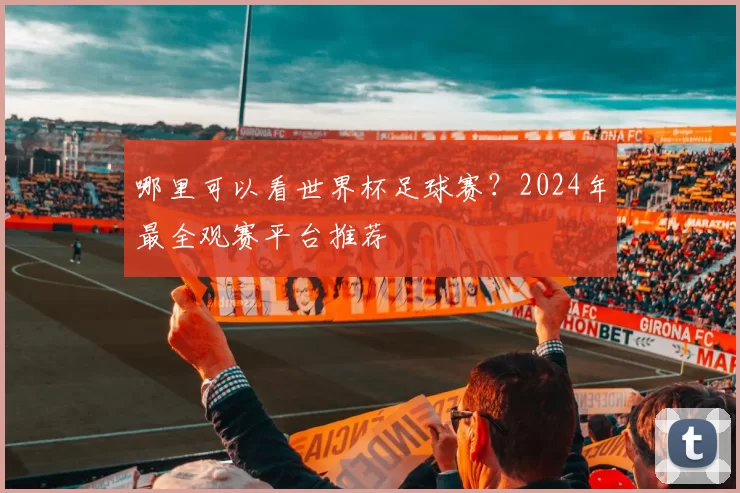 哪里可以看世界杯足球赛？2024年最全观赛平台推荐