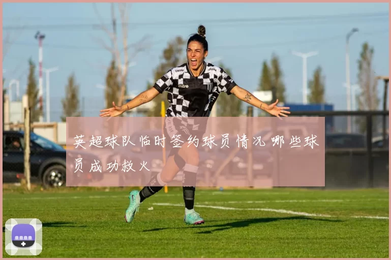 英超球队临时签约球员情况 哪些球员成功救火