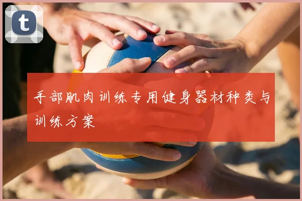 手部肌肉训练专用健身器材种类与训练方案