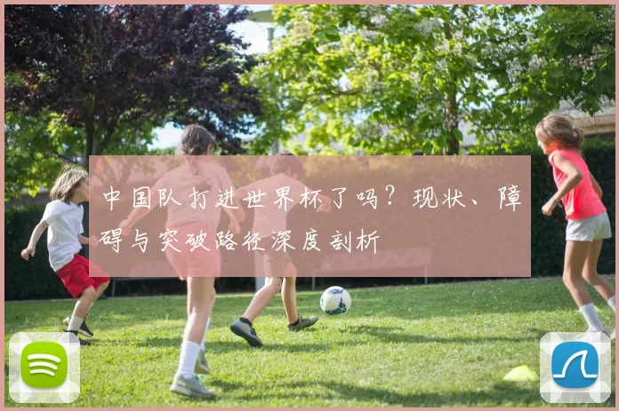 中国队打进世界杯了吗?现状、障碍与突破路径深度剖析