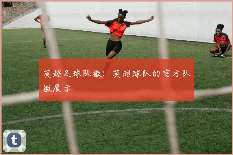 英超足球队徽:英超球队的官方队徽展示