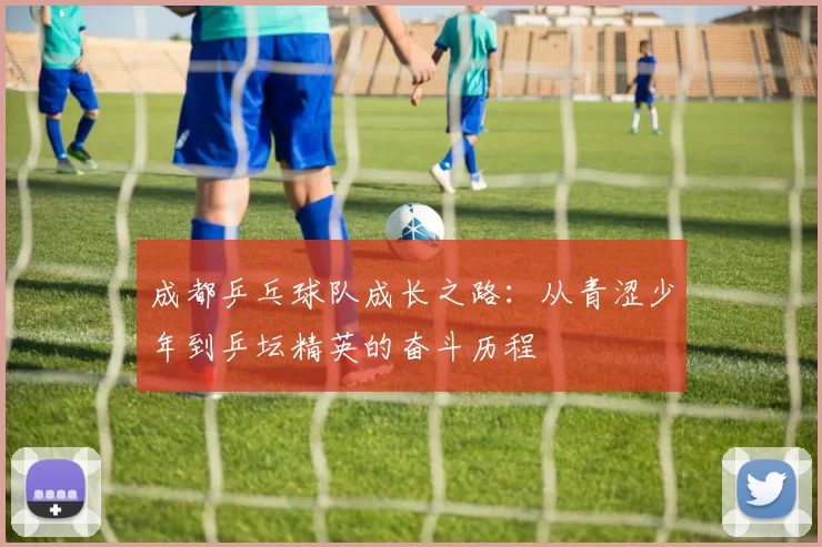 成都乒乓球队成长之路：从青涩少年到乒坛精英的奋斗历程