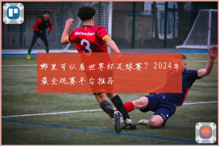 哪里可以看世界杯足球赛？2024年最全观赛平台推荐