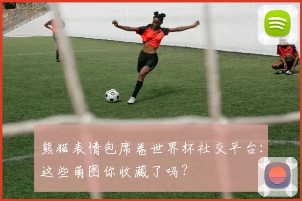 熊猫表情包席卷世界杯社交平台:这些萌图你收藏了吗?