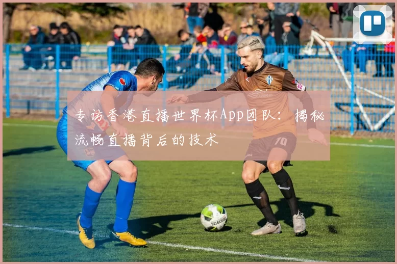 专访香港直播世界杯App团队：揭秘流畅直播背后的技术
