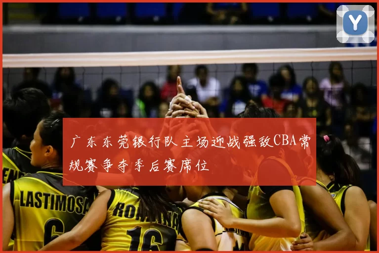 广东东莞银行队主场迎战强敌CBA常规赛争夺季后赛席位